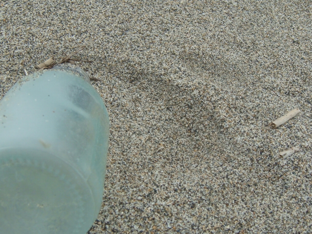 20110822_DSC00346.jpg