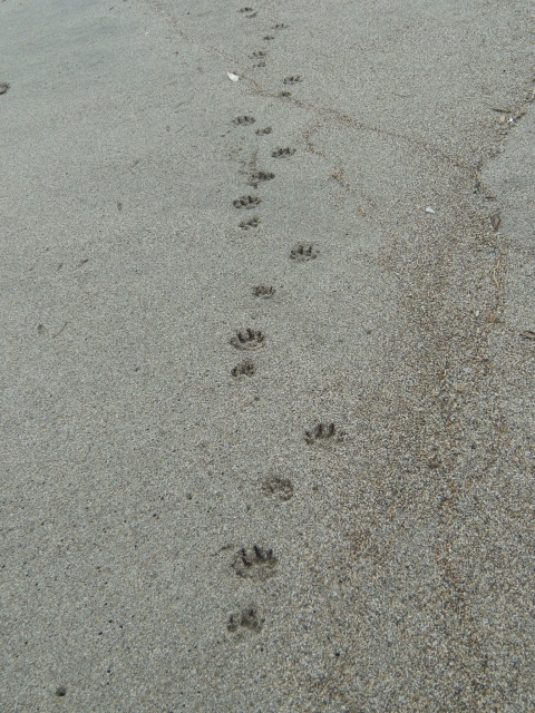 20110822_DSC00362.jpg