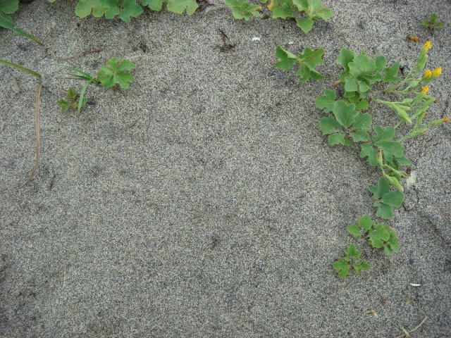 20110822_DSC00390.jpg