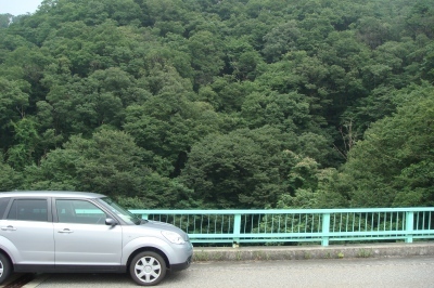 ishiirikie_blog_DSC02177.jpg