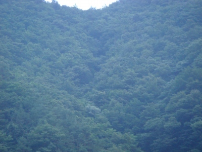 ishiirikie_blog_DSC02219.jpg