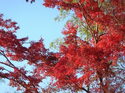 ishiirikie_blog__DSC04943.jpg