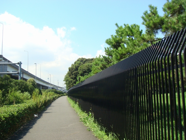 natsu_DSC00481.jpg