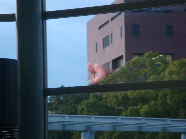 tokushima_1526.jpg