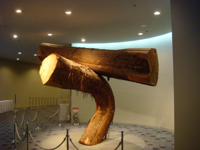 tokushima_1532.jpg